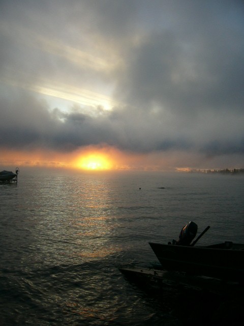 Home Page Image